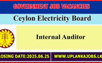 Ceylon Electricity Board Vacancies 2025