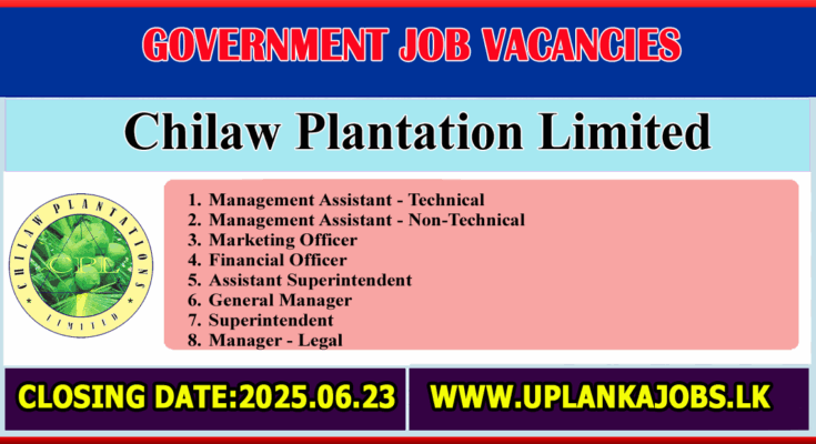 Chilaw Plantation Limited Vacancies 2025