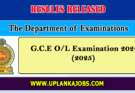 GCE OL Results 2024 (2025) Released