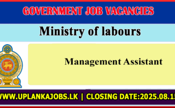 Management Assistant Ministry of labours
