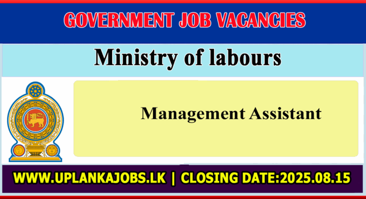 Management Assistant Ministry of labours