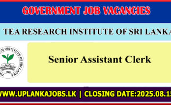 Senior Assistant Clerk