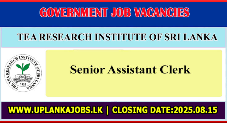 Senior Assistant Clerk
