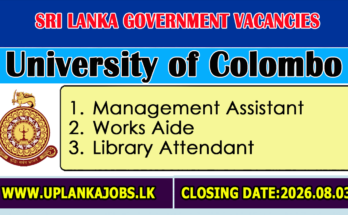 University of Colombo Vacancies 2026