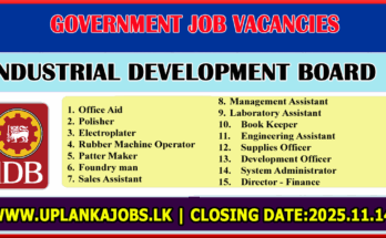 Industrial Development Board Vacancies 2025