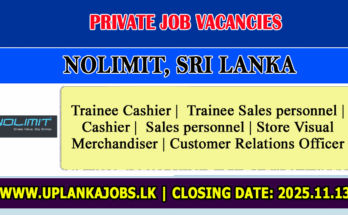 NOLIMIT Vacancies 2026