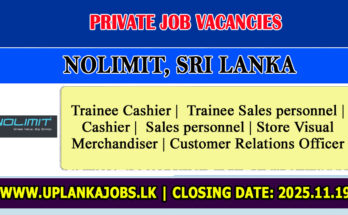 NOLIMIT Vacancies 2026