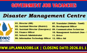 Disaster Management Centre Vacancies 2026