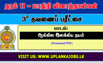 Grade 11 English Lit Third Term Exam Paper