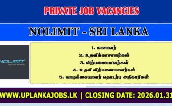 NOLIMIT Vacancies 2026