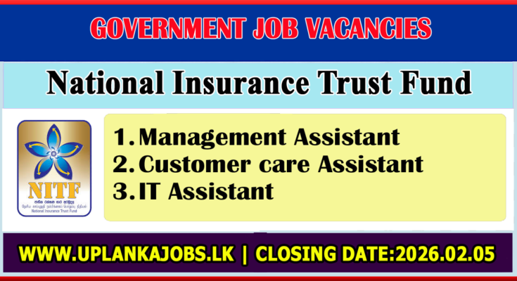 National Insurance Trust Fund Vacancies 2026