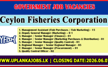 Ceylon Fisheries Corporation Vacancies 2026