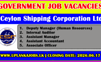 Ceylon Shipping Corporation Limited Vacancies 2026