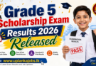 Grade 5 Scholarship Exam Results 2026 Released