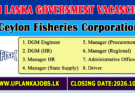 Ceylon Fisheries Corporation Vacancies 2026