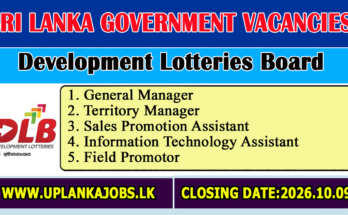 Development Lotteries Board Vacancies 2026