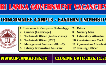 Trincomalee Campus Vacancies 2026